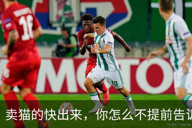 卖猫的快出来，你怎么不提前告诉我它会霸占我床！